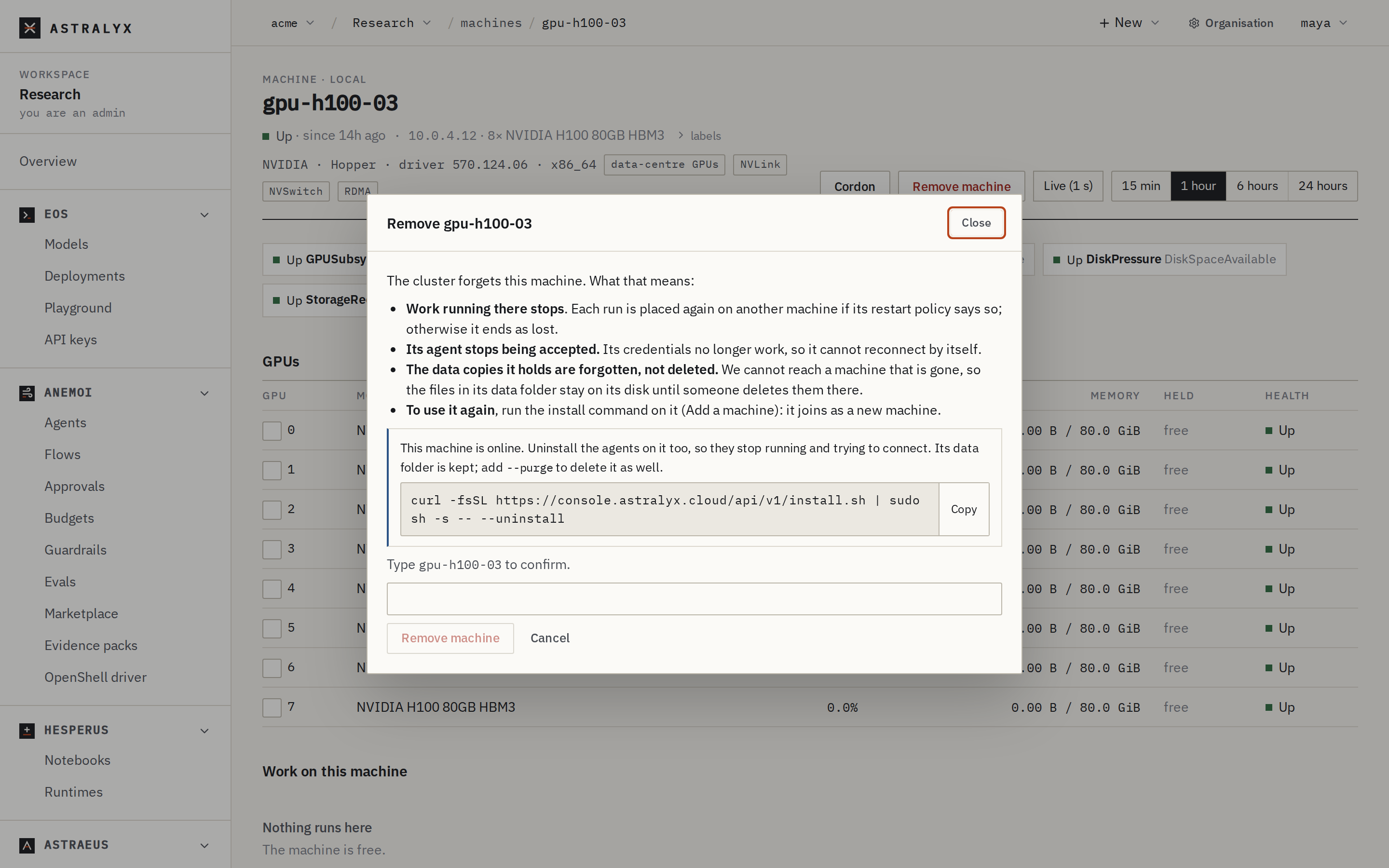 The Remove dialog with its consequences, the uninstall command and the name to type