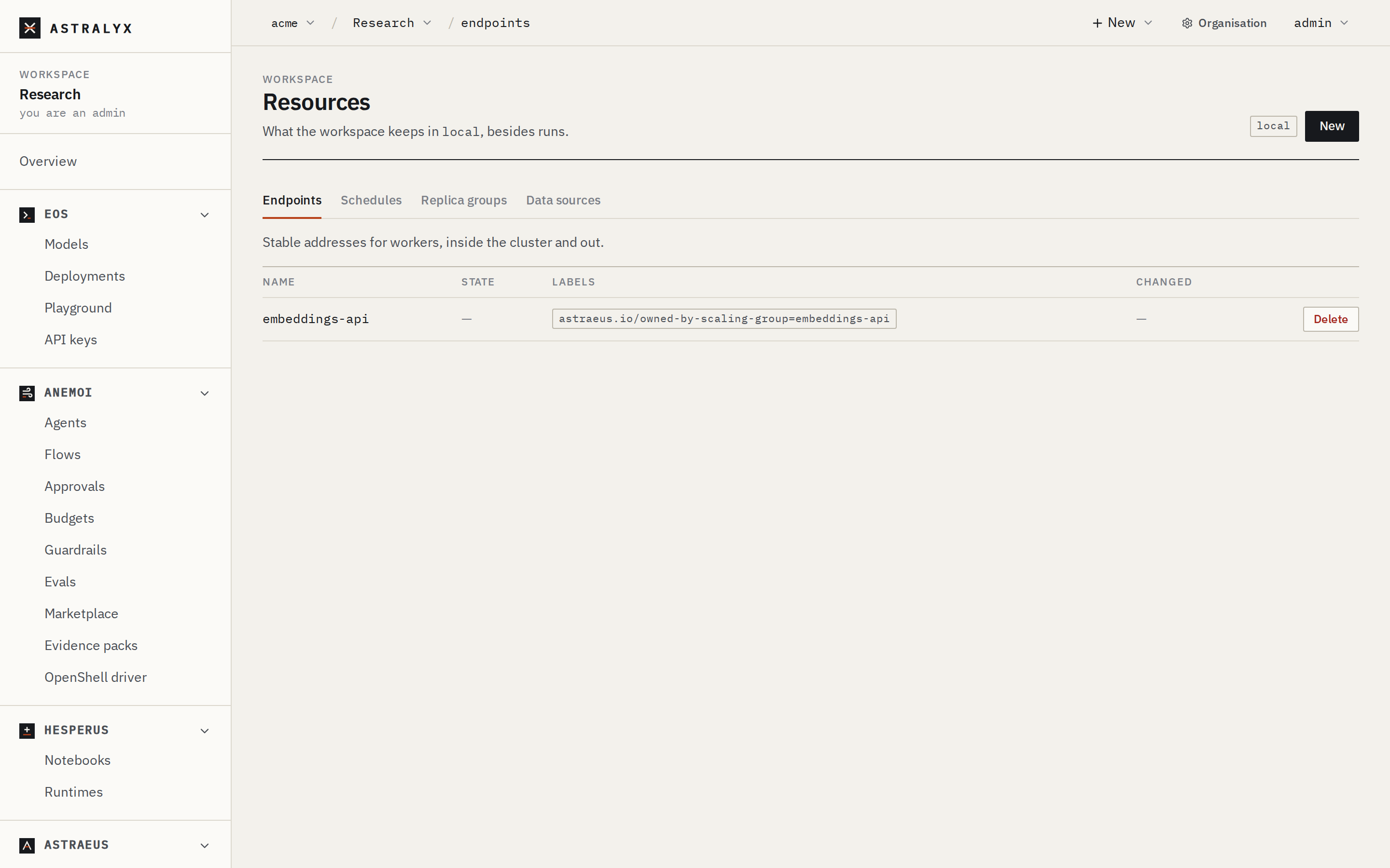 The Endpoints tab of Resources