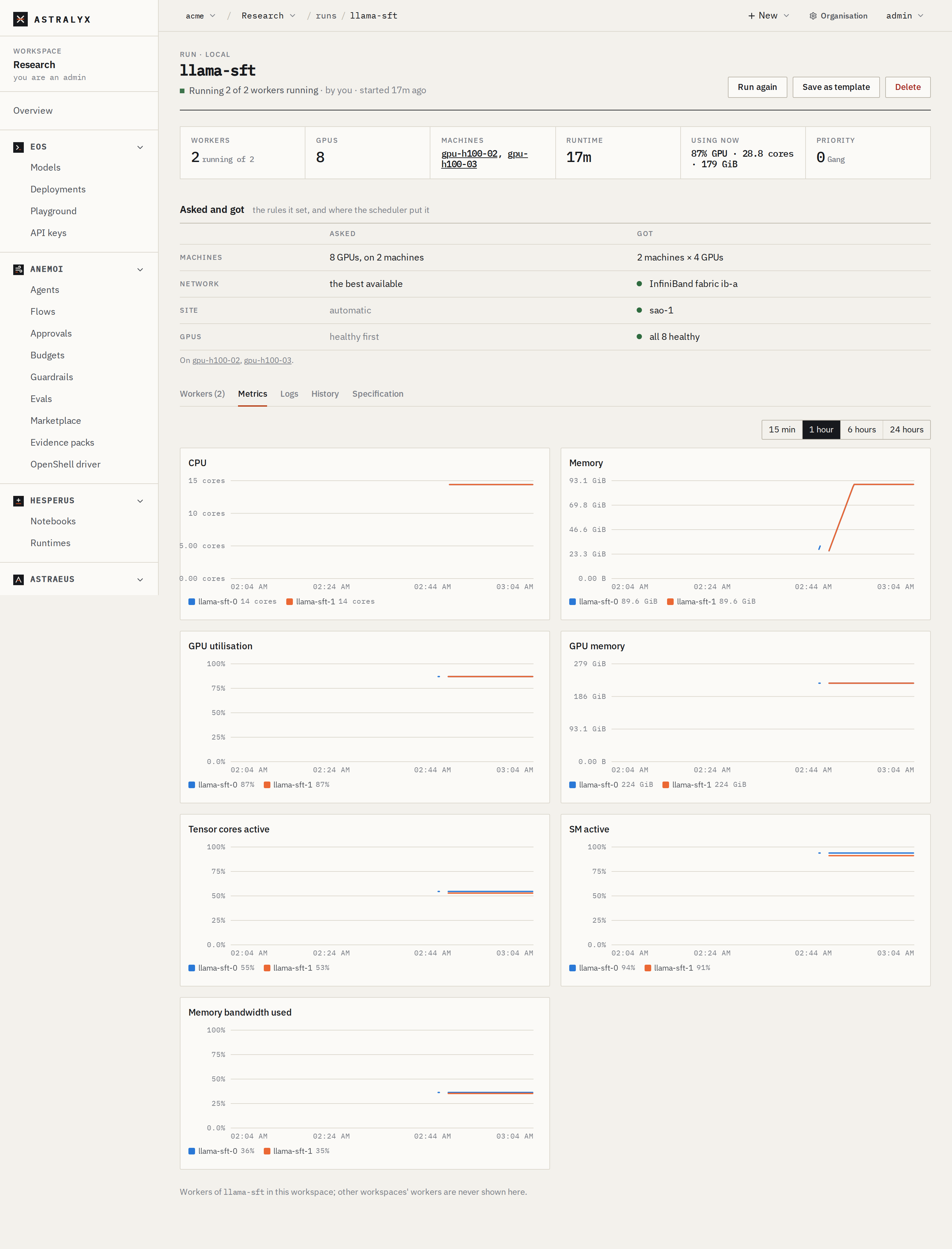 A run's Metrics tab